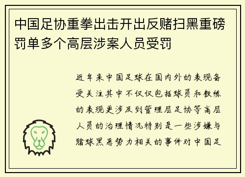 中国足协重拳出击开出反赌扫黑重磅罚单多个高层涉案人员受罚 中国足协重拳出击开出反赌扫黑重磅罚单多个高层涉案人员受罚